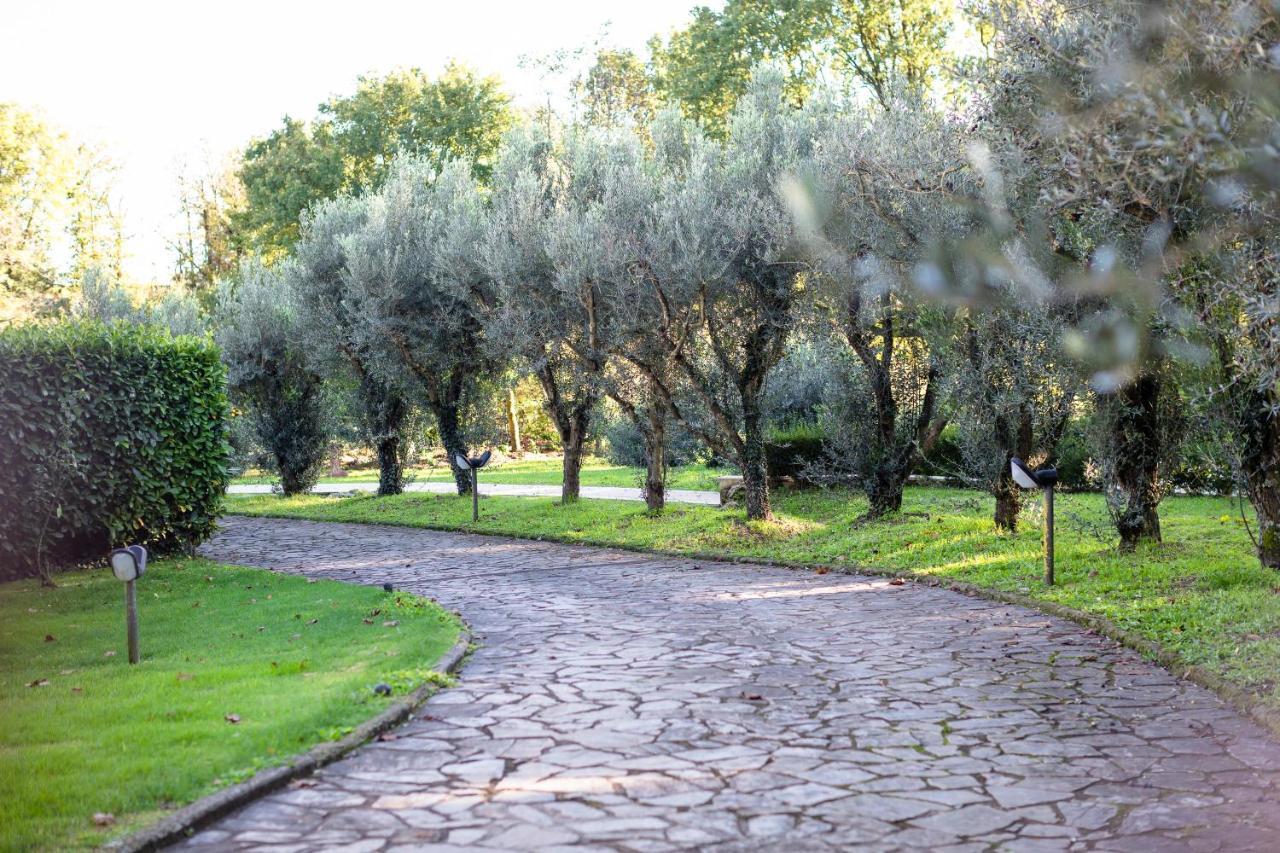 Le Fontanelle Διαμέρισμα Bagnoregio Εξωτερικό φωτογραφία